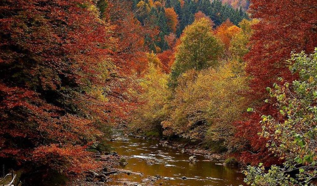 19016201-7677-4ae0-95a3-5fca8a36eab7_16-9-aspect-ratio_default_0-copia